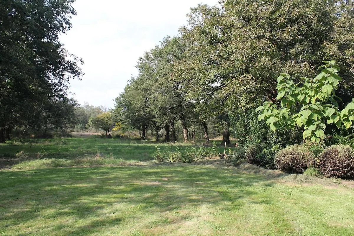 Nyaraló Gite De Barenton En Foret De Broceliande 12 Couchages Bain Nordique Paimpont